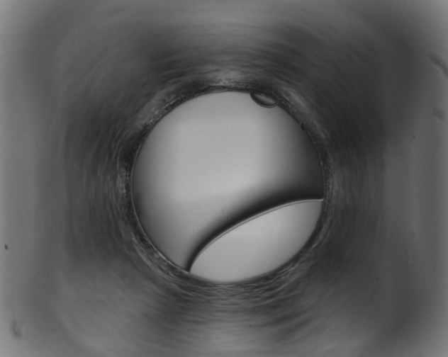 X0000102040265200807181037