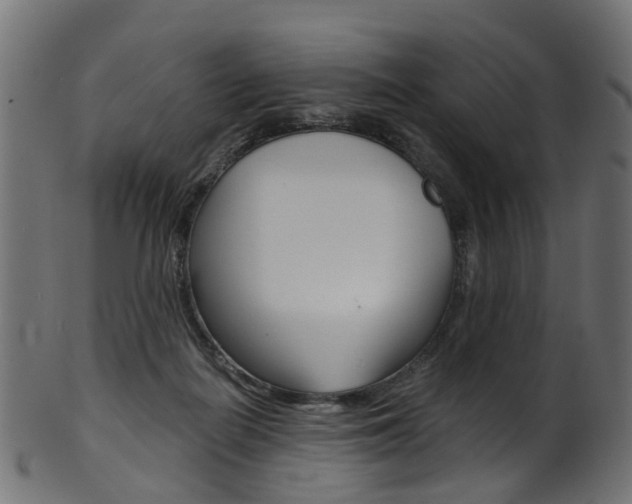 X0000102040266200807181037