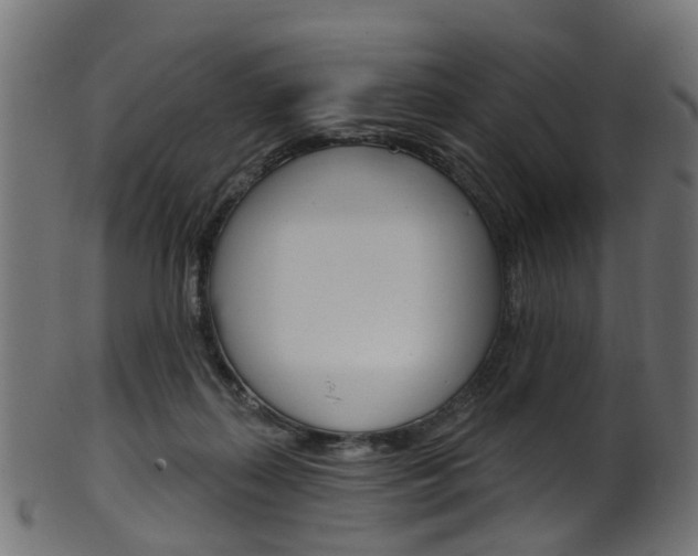 X0000102040267200807181037
