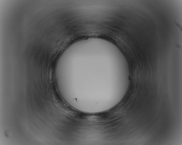 X0000102040268200807181037