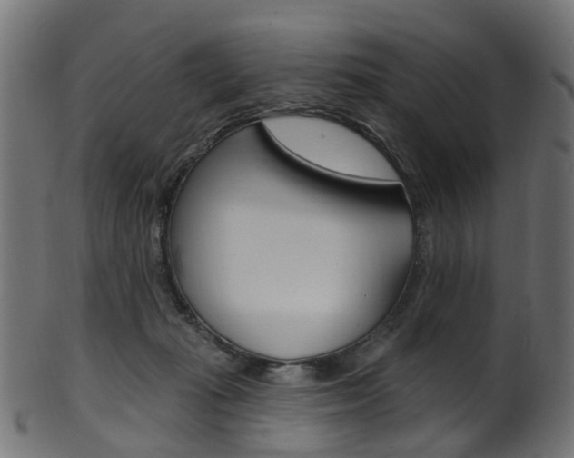 X0000102040269200807181037