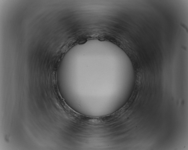 X0000102040272200807181037