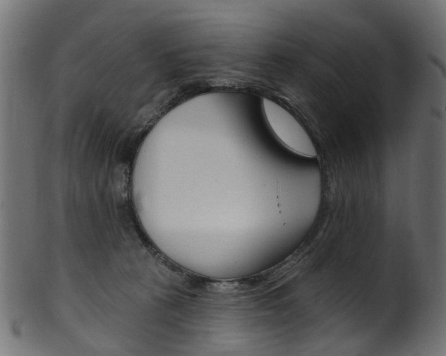 X0000102040273200807181037