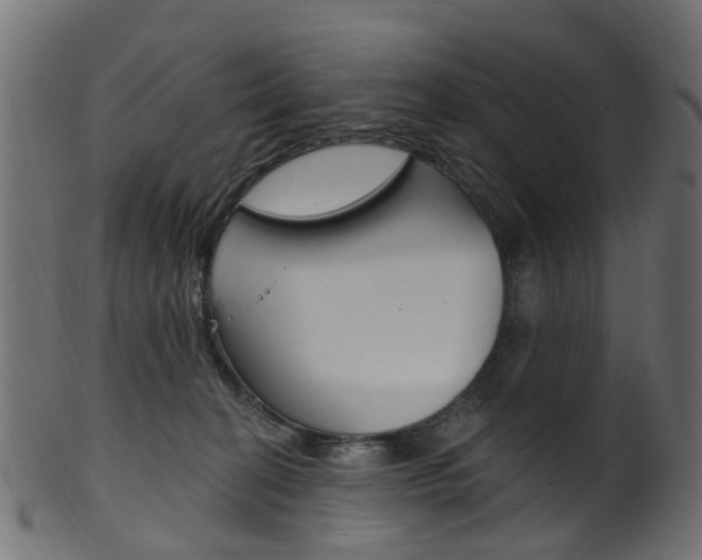X0000102040274200807181037