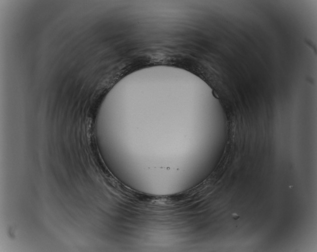 X0000102040275200807181037