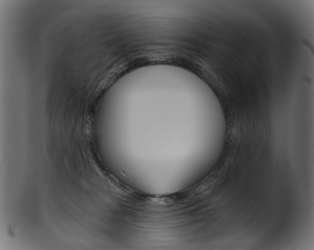 X0000102040277200807181037