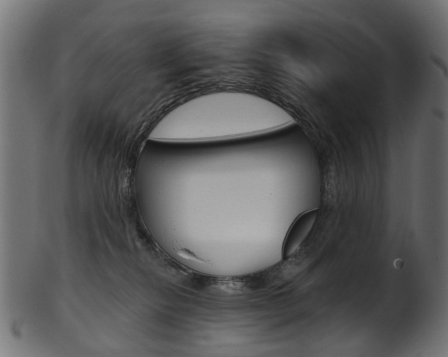 X0000102040278200807181037