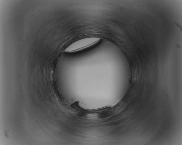 X0000102040279200807181037