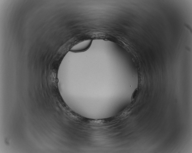 X0000102040281200807181037
