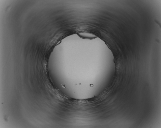 X0000102040282200807181037