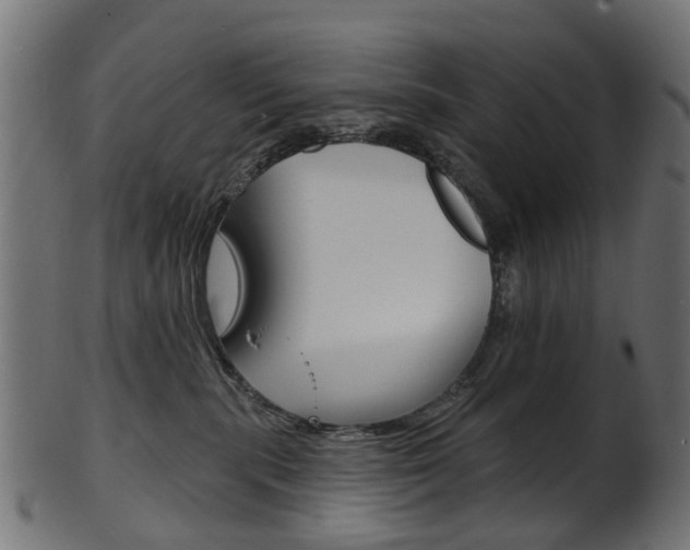 X0000102040283200807181037