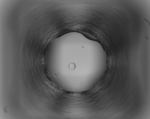 X0000102040284200807181037