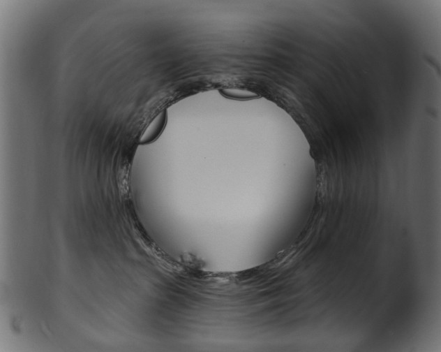X0000102040285200807181037