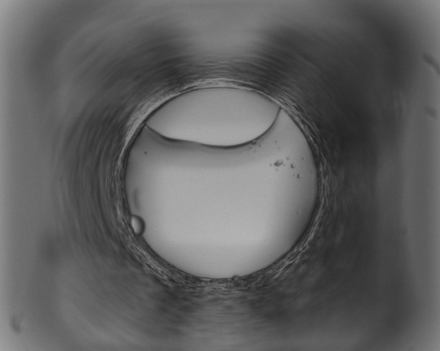 X0000102040289200807181036