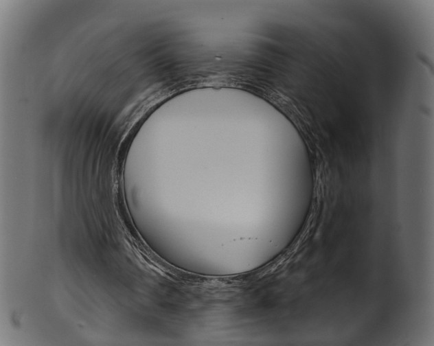 X0000102040290200807181036