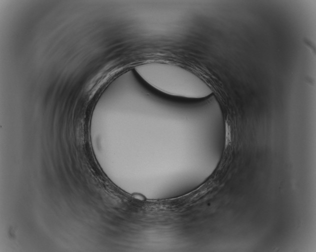 X0000102040291200807181036