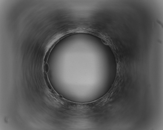 X0000102040292200807181036