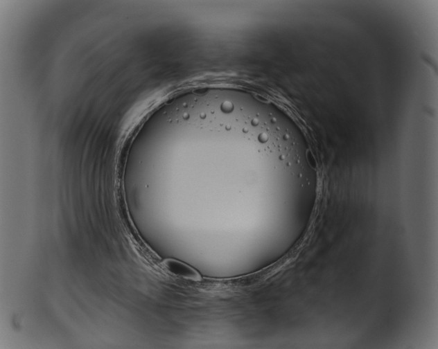 X0000102040293200807181036