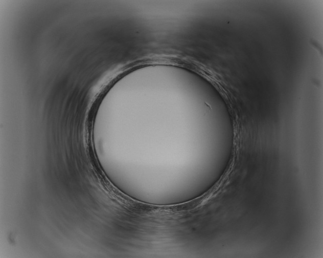 X0000102040294200807181036