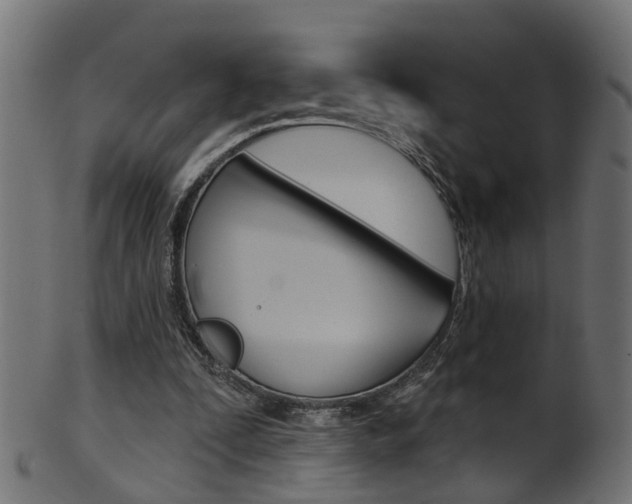 X0000102040295200807181036