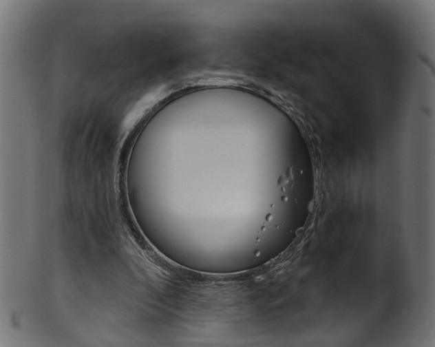 X0000102040296200807181036