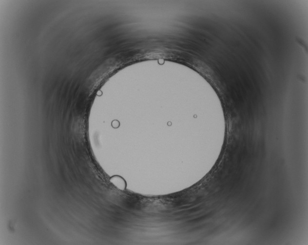 X0000102040297200807181036