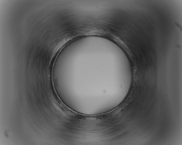 X0000102040298200807181036