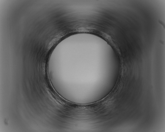 X0000102040299200807181036