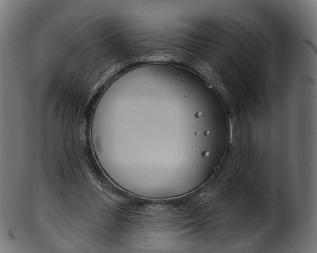 X0000102040300200807181036