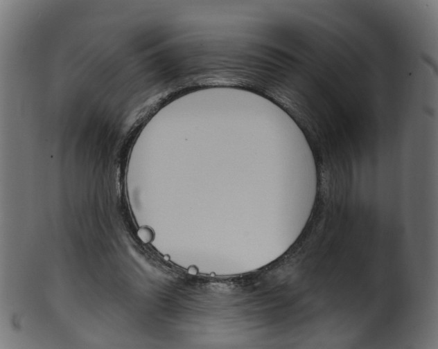 X0000102040302200807181036