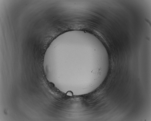 X0000102040307200807181036