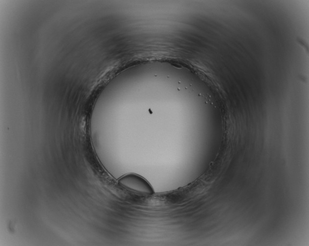 X0000102040308200807181036