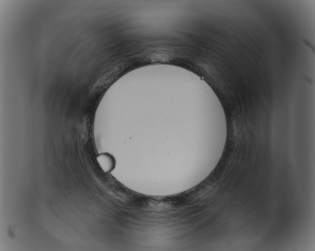 X0000102040311200807181036