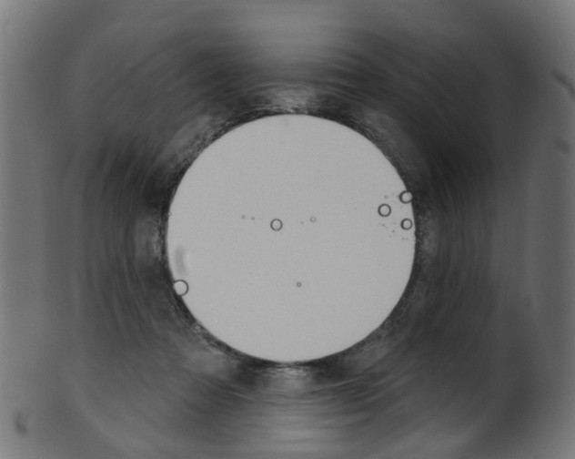 X0000102040313200807181036