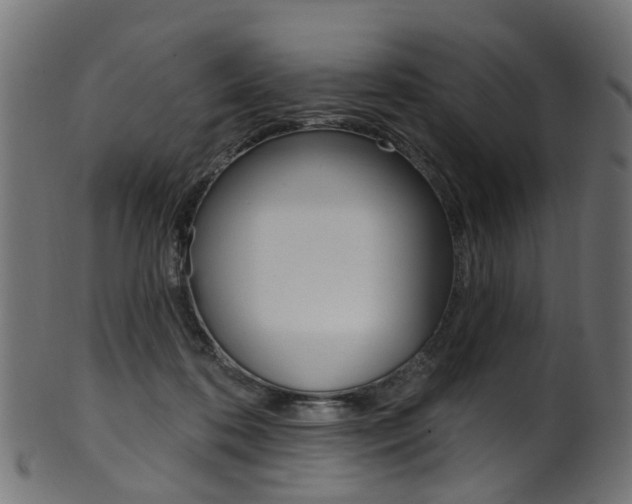 X0000102040316200807181036