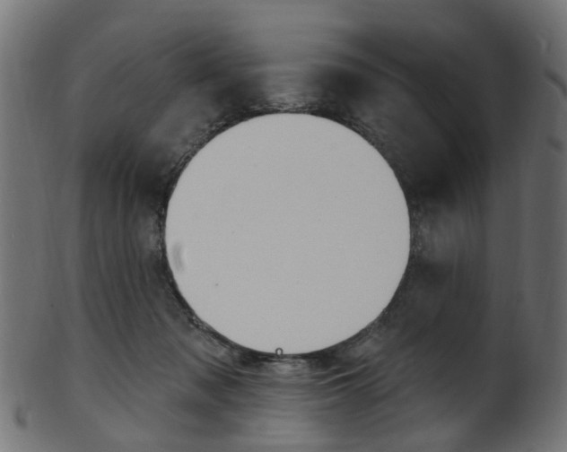 X0000102040317200807181036