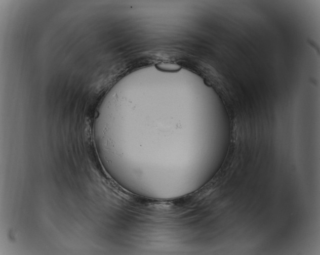 X0000102040318200807181036