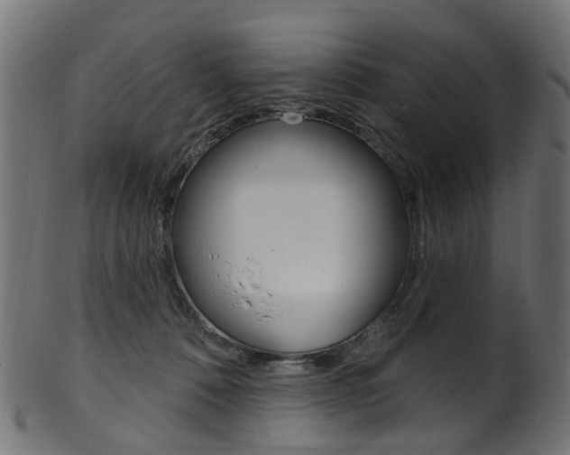 X0000102040320200807181036
