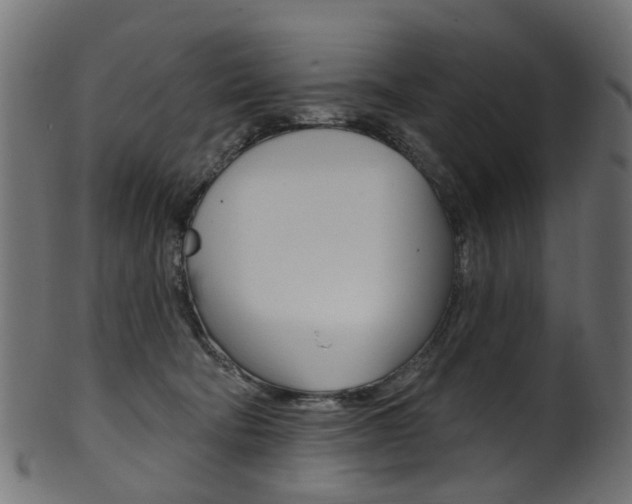 X0000102040322200807181036