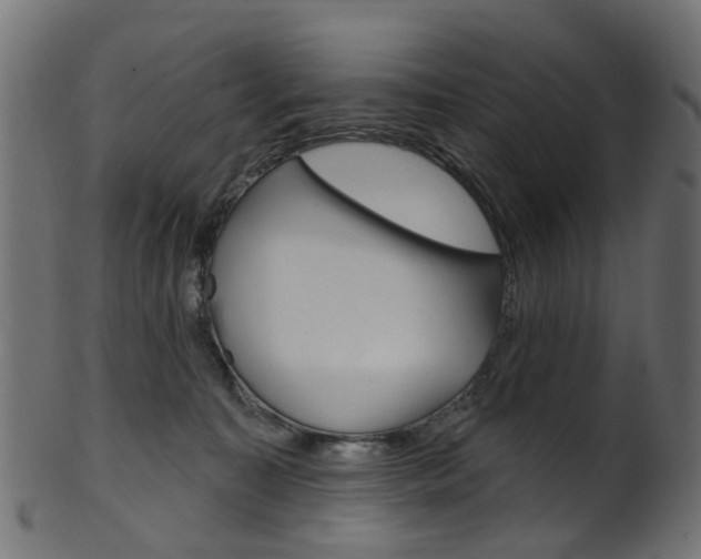 X0000102040323200807181036
