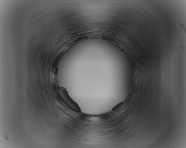 X0000102040324200807181036