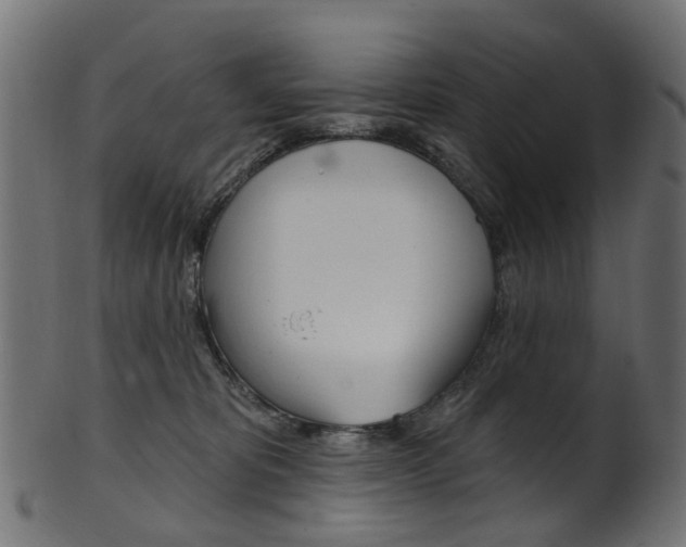 X0000102040325200807181036