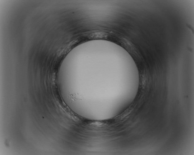 X0000102040326200807181036