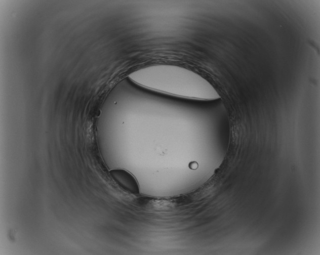 X0000102040327200807181036