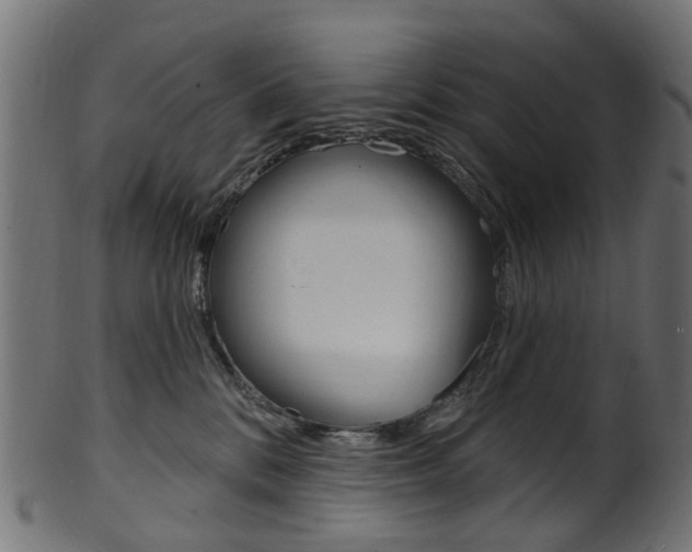 X0000102040328200807181036