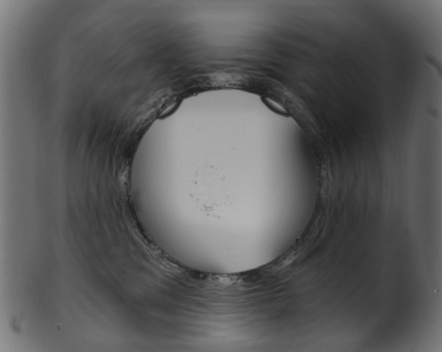 X0000102040329200807181036