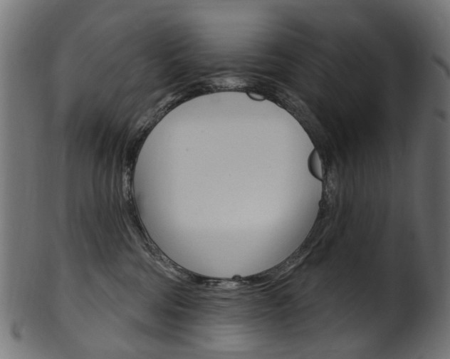 X0000102040330200807181036