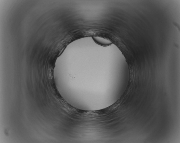 X0000102040331200807181036