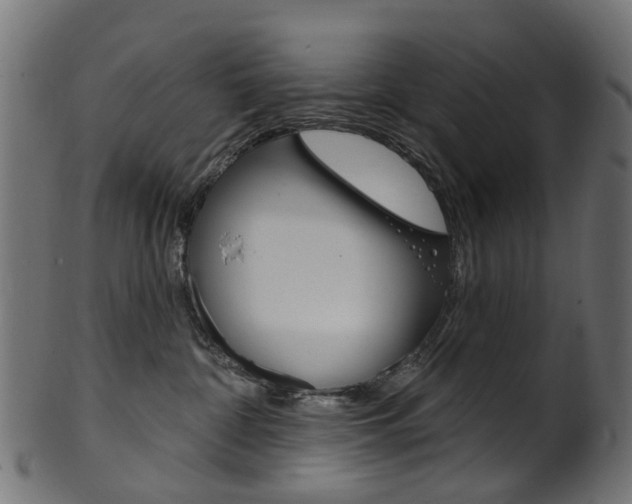 X0000102040332200807181036