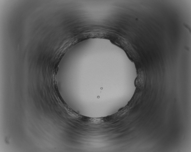 X0000102040333200807181036